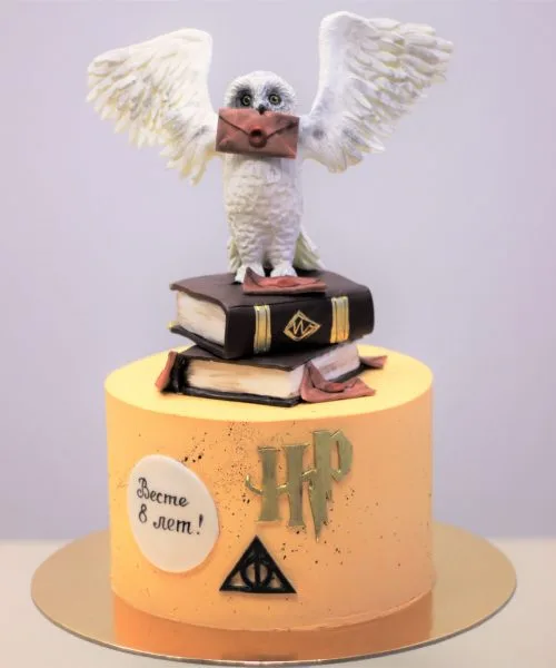 Торт Гарри Поттер 69