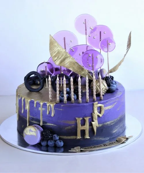 Торт Гарри Поттер 232