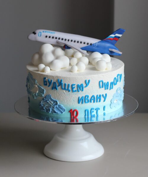 Торт Самолет Техника 109