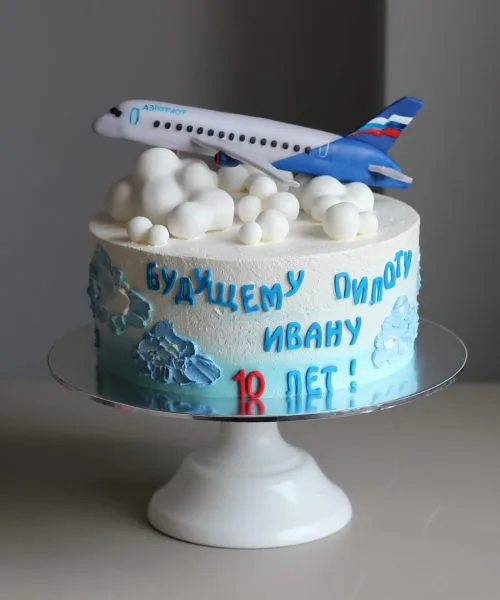 Торт Самолет Техника 109