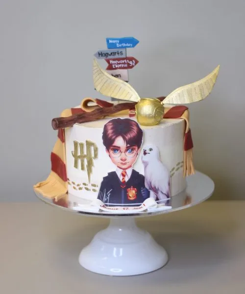 Торт Гарри Поттер 27