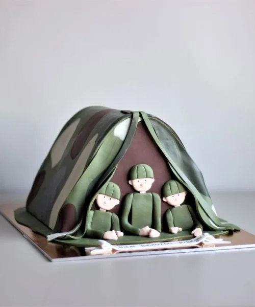 Торт Палатка 1016