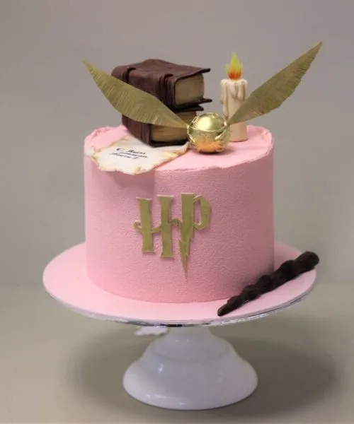 Торт Гарри Поттер 1009