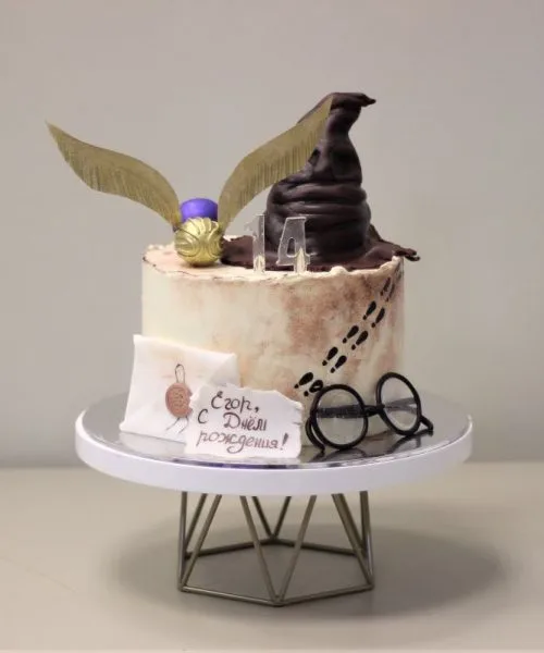 Торт Гарри Поттер 1414