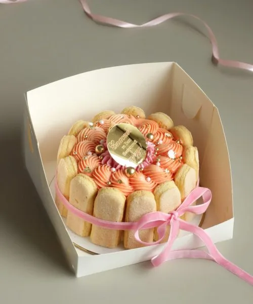 Бенто с печеньками Д10