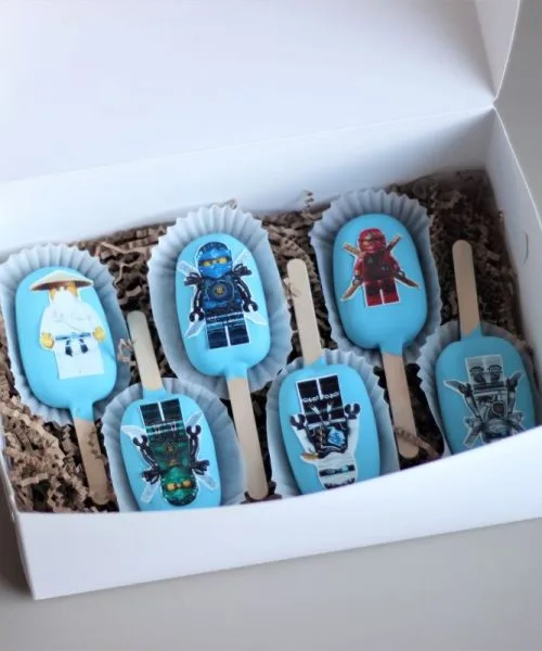 Эскимо Лего Ниндзяго 1691