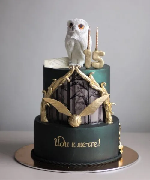 Торт Гарри Поттер 1893