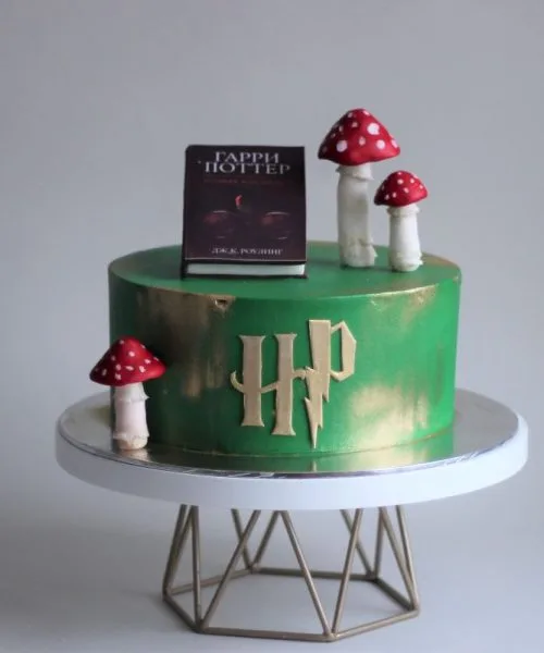 Торт Гарри Поттер 1970