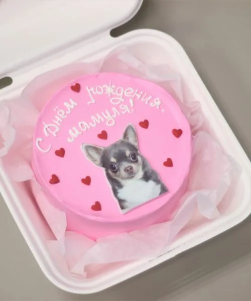 Бенто-Торт 2213