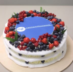 Торт Корпоративный "Анна Павлова" 2282