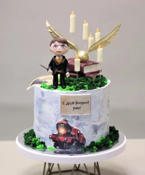 Торт Гарри Поттер 2376