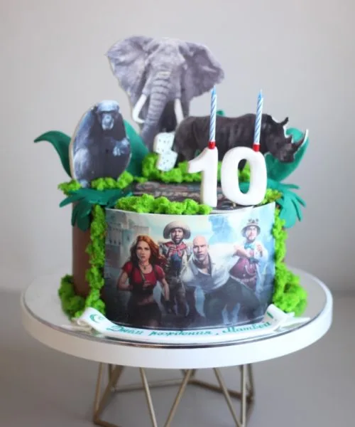 Торт Джуманжи 2459