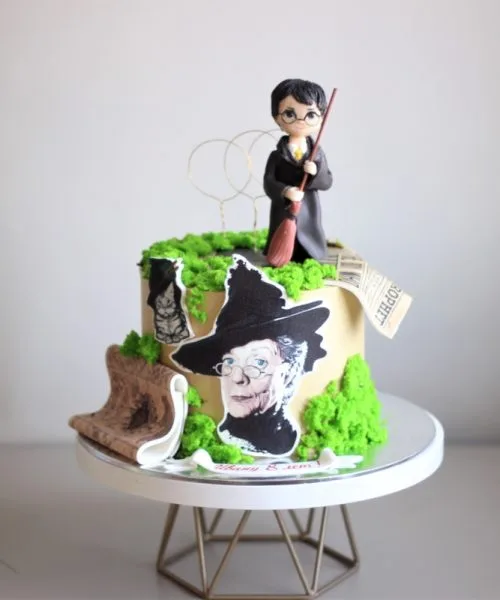 Торт Гарри Поттер 2991