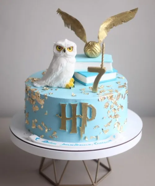 Торт Гарри Поттер 3165