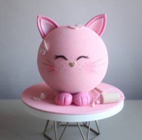 Торт Бомба Котик 3633